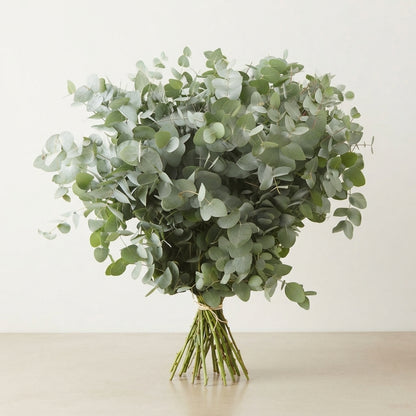 FeedSync:wholesale:f22ddbf9fe9ae12a229395df7458c85f680fbd31