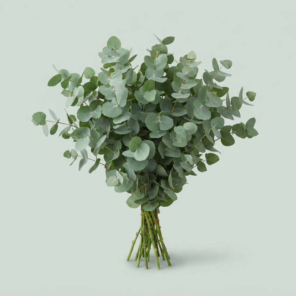 FeedSync:wholesale:1d2b0d633a993a54d75447d09cedf1381e2eaf8d