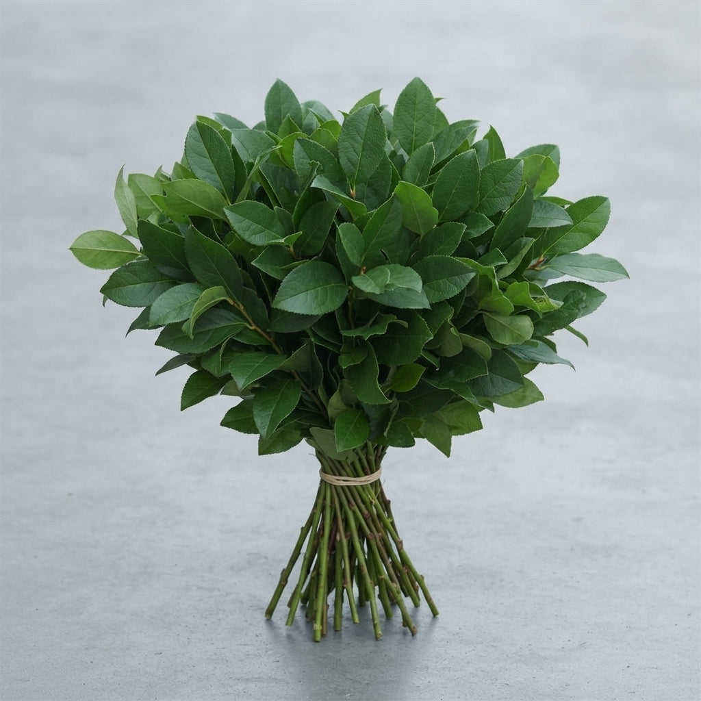 FeedSync:wholesale:92a41f30f59ba8a6d6d95582b1be2c06b118b21f