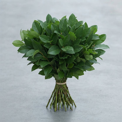 FeedSync:wholesale:92a41f30f59ba8a6d6d95582b1be2c06b118b21f