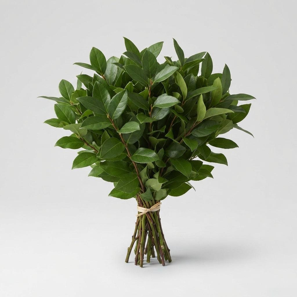 Salal Tip - Other Greenery Per Bunch