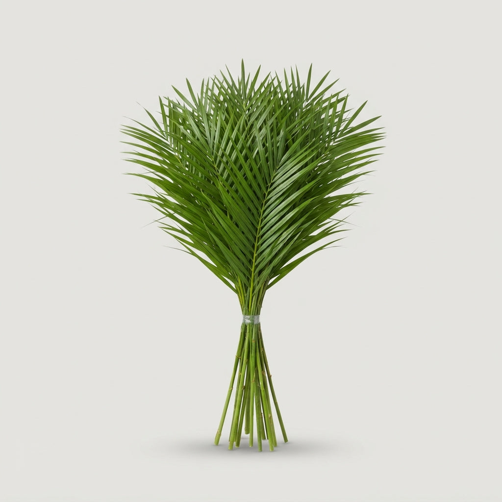 FeedSync:wholesale:1b6b504ae98e8ff92ac5d77c2010210b8b25e931