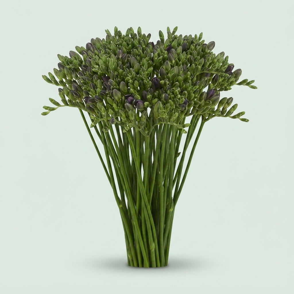 FeedSync:wholesale:db531d99d15f652b69455e3968deb771d3c82929