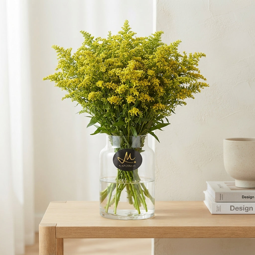Solidago ‘Glory’ Yellow Flower Stems – 70cm
