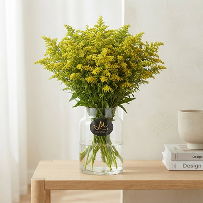 Solidago ‘Glory’ Yellow Flower Stems – 70cm