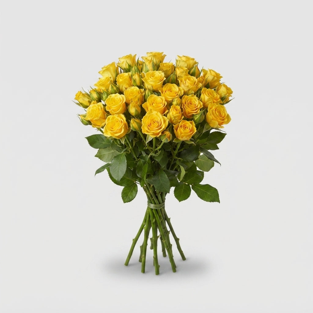 Spray Rose - Rosa - Yellow Babe