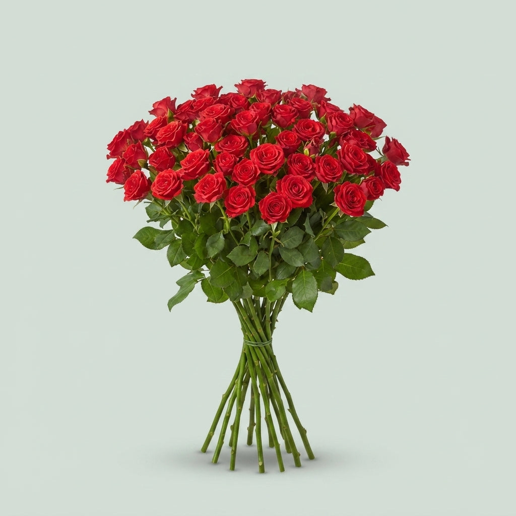 FeedSync:wholesale:74b4bd4047fbc0e3f9f1f2b0bdc57f87e5aae192
