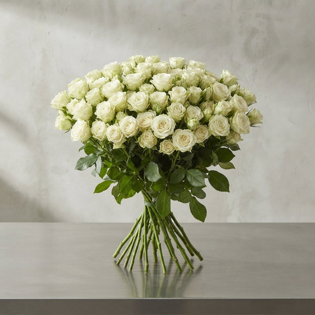 FeedSync:wholesale:a1486cb4c4844abc0b47335c3044fa27190d27ed