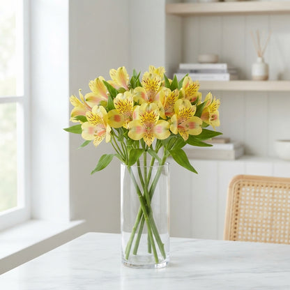 Yellow Alstroemeria ‘Tesbali’ – 75cm Stems