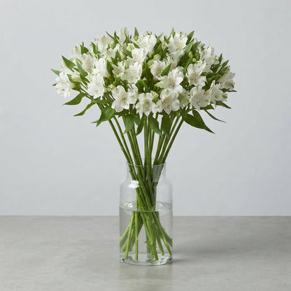 FeedSync:wholesale:f1c58c7c00acac02042627fd370bbff2f7b68f9f