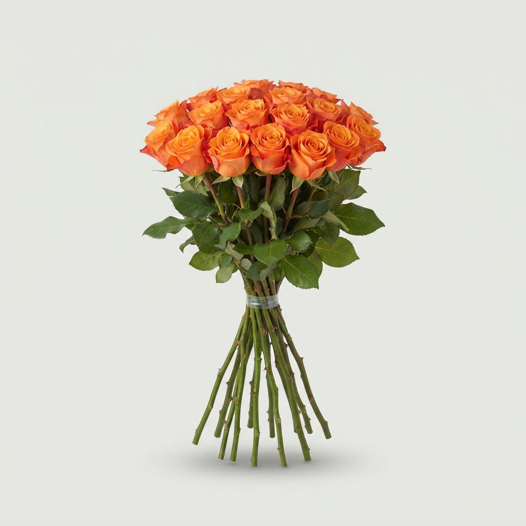 FeedSync:wholesale:1eceb34aacc8ee75904f9e4ec02fe0744b510ebb
