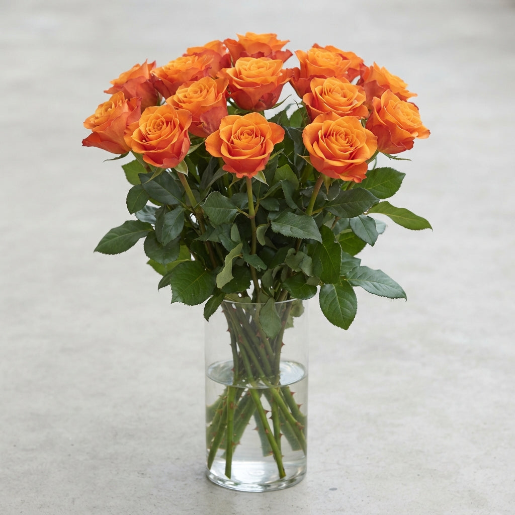 FeedSync:wholesale:8e177def6f0e2d695184fc1c6d7daeba7a0848d7