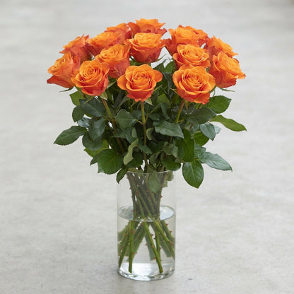 FeedSync:wholesale:8e177def6f0e2d695184fc1c6d7daeba7a0848d7