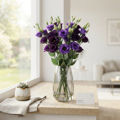 Purple Lisianthus ‘Rosita Blue’ – 70cm, 10 Stems