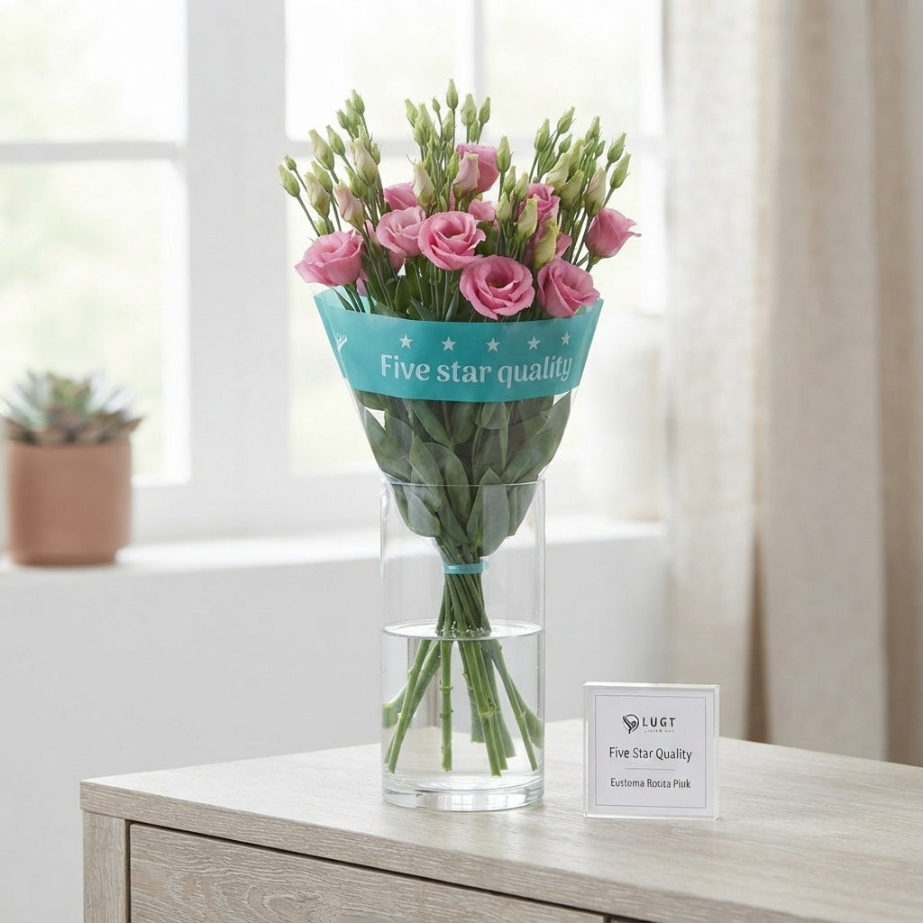 Pink Lisianthus ‘Rosita Champagne’ – 70cm Stems