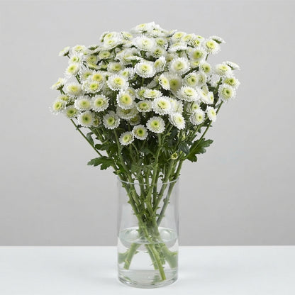 FeedSync:wholesale:3d3959d72efc5be0fbf5db45f73356e5af9ccc7c