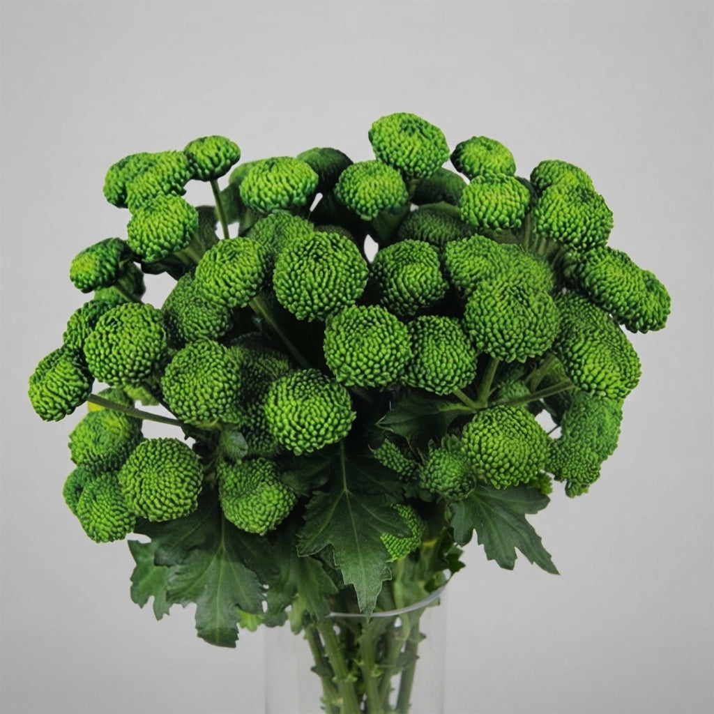 FeedSync:wholesale:b38cba4bc953507405c3d4609bf5f8dfdb70e7ef
