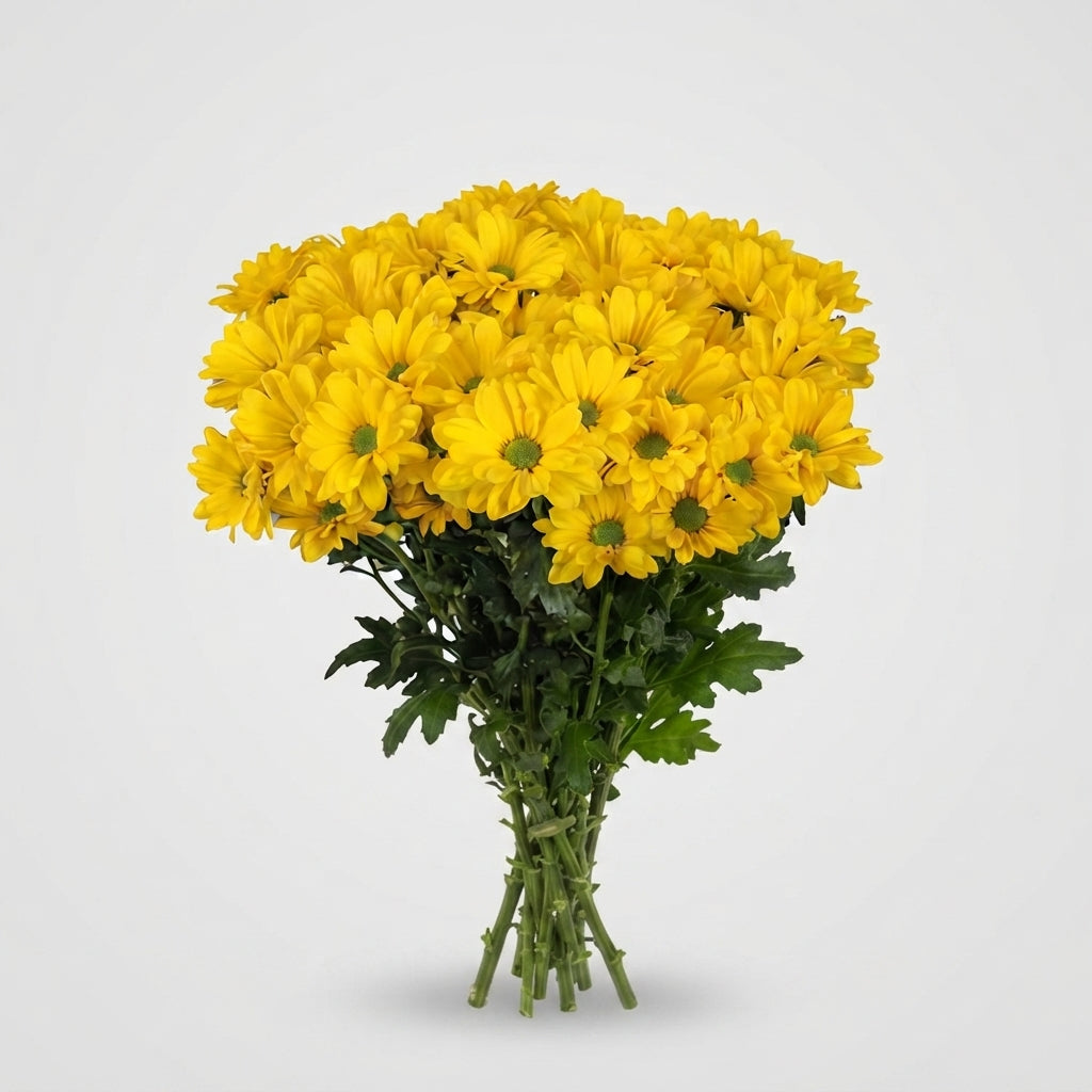 FeedSync:wholesale:56912b676f0f09becd151c86a2a8cc7f092f272c
