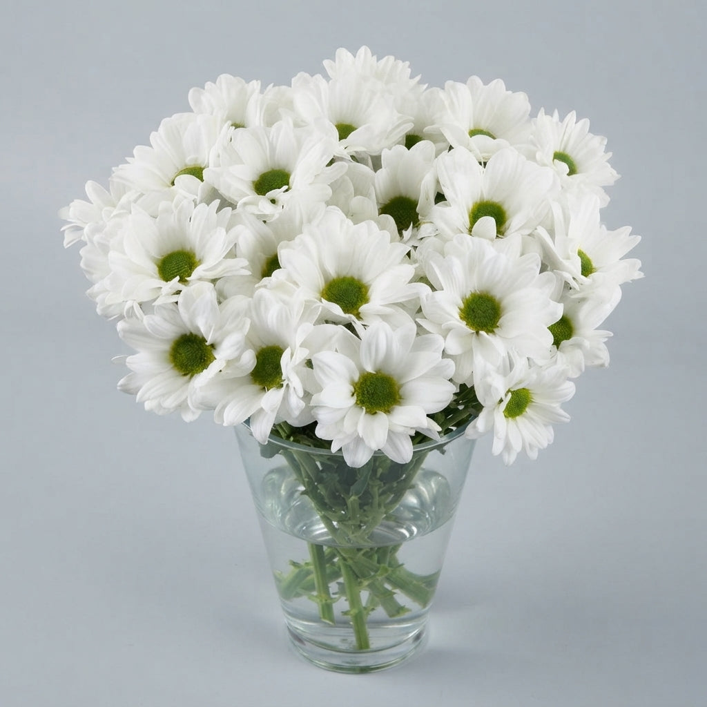 FeedSync:wholesale:a7cebc773081dcd569c1ee16cc55a0d23bdff6d3