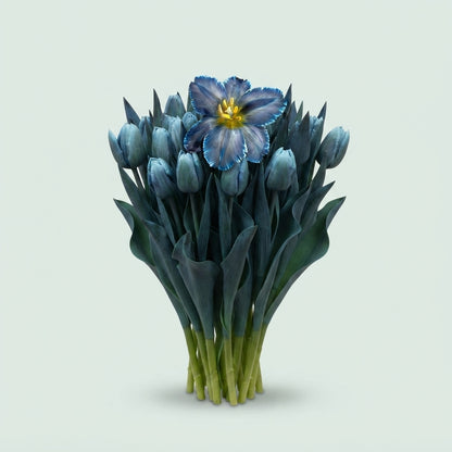Tulip - Tulipa - Royal Blue