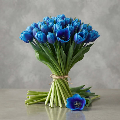 Tulip Blue Curacao