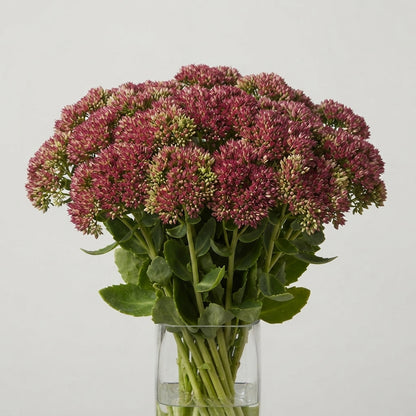 FeedSync:wholesale:1238d076a9d113d3d9498d656774f1408014900b