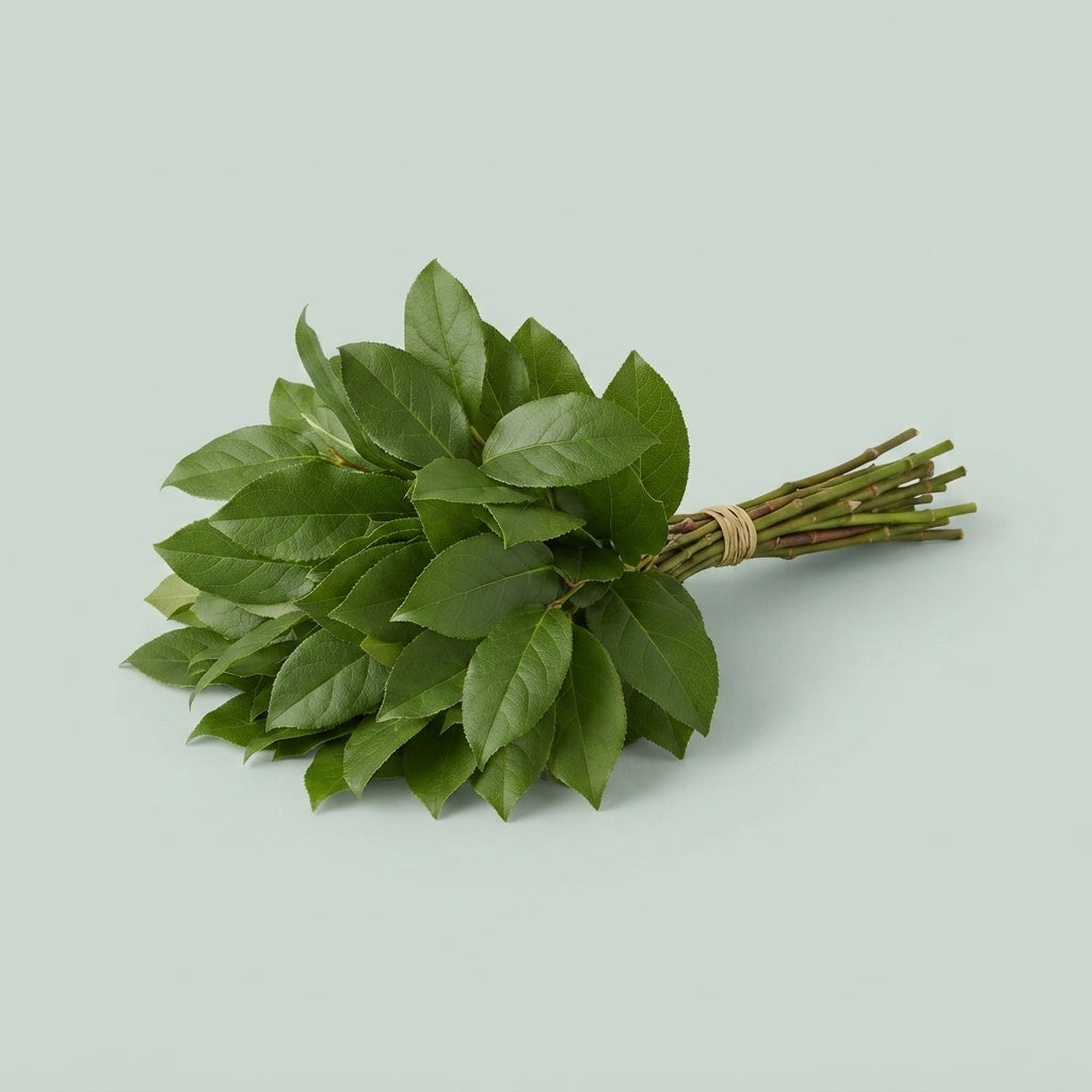 FeedSync:wholesale:69f9e1f805eaf16321b2400fc8c50c66c2751de2