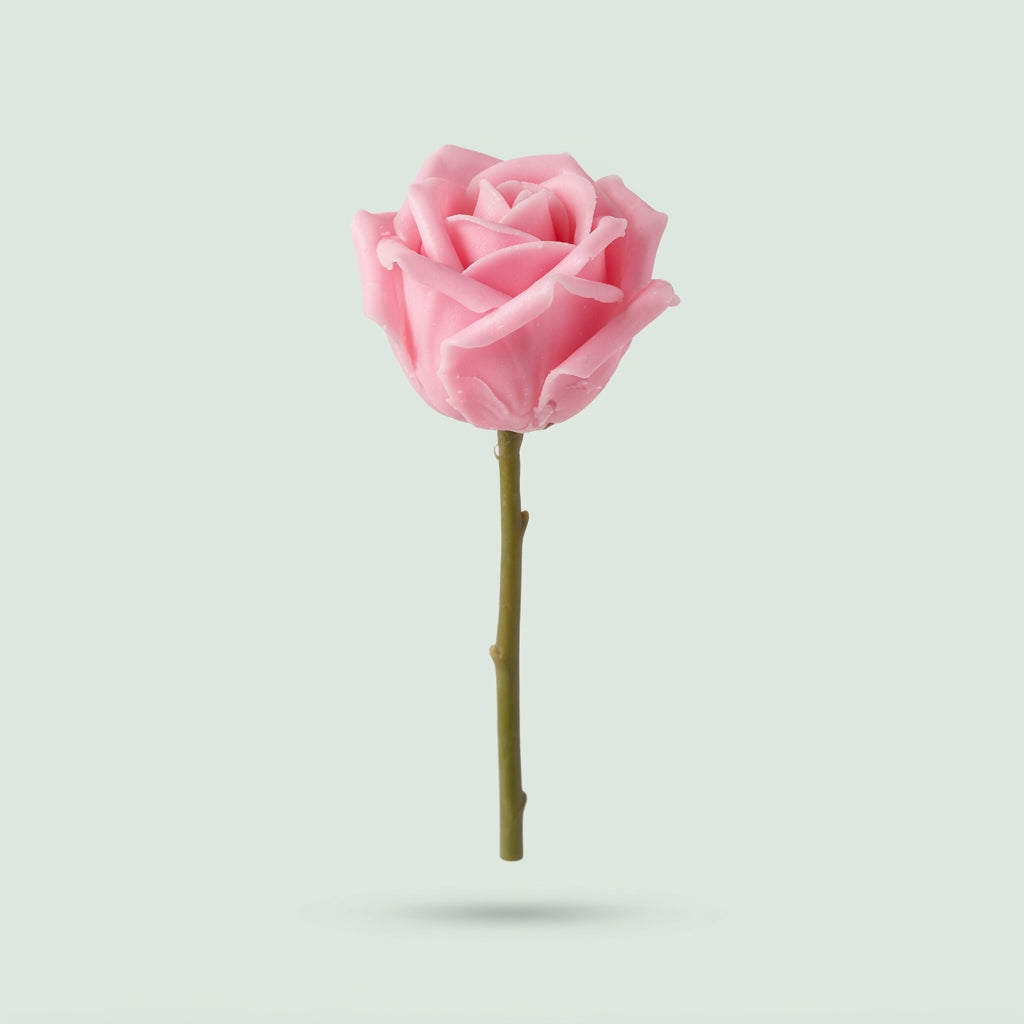 Rose - Rosa - Large Flowered