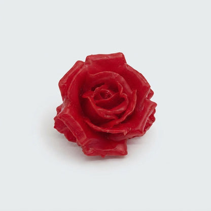 Rose - Rosa - Large Flowered