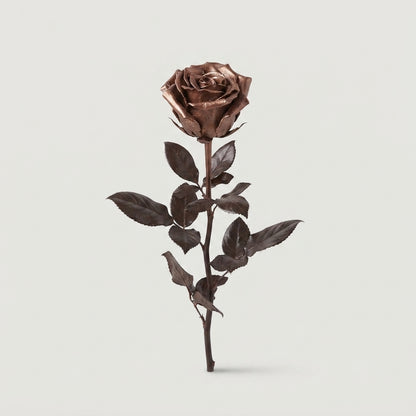 Rose - Rosa - Large Flowered