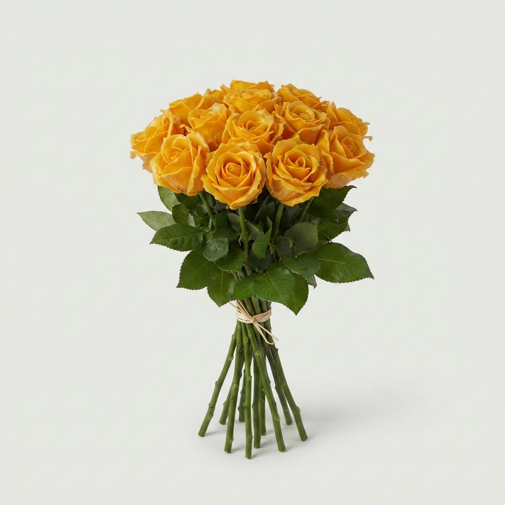 Rose - Rosa - Large Flowered
