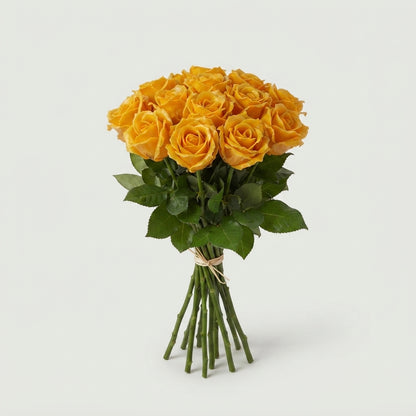 Rose - Rosa - Large Flowered