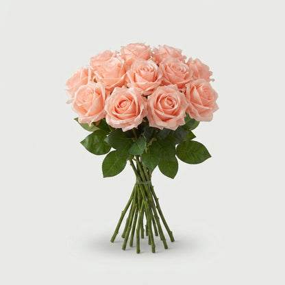 FeedSync:wholesale:243ca54d0a2943dd730a29b2645ccf8e41158d7b