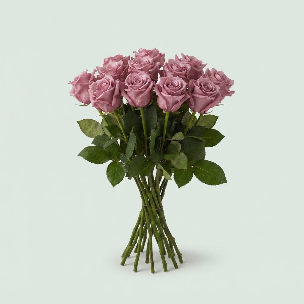 Rose - Rosa - Large Flowered
