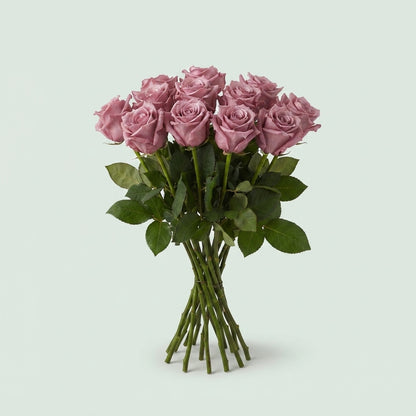 Rose - Rosa - Large Flowered
