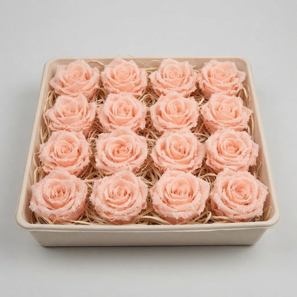 FeedSync:wholesale:1ed7ba41f013ce0e7abc07d0f97dd0f5dbca21a5