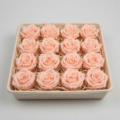 FeedSync:wholesale:1ed7ba41f013ce0e7abc07d0f97dd0f5dbca21a5