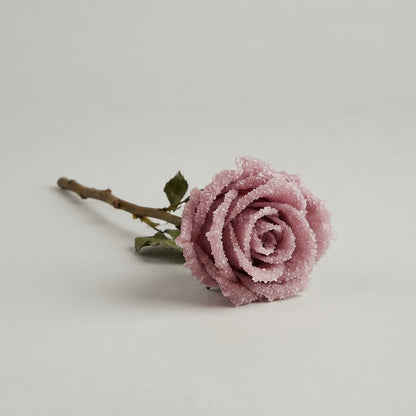 Rose - Rosa - Large Flowered