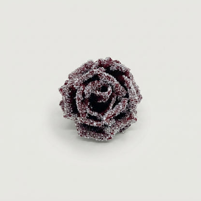Rose - Rosa - Large Flowered