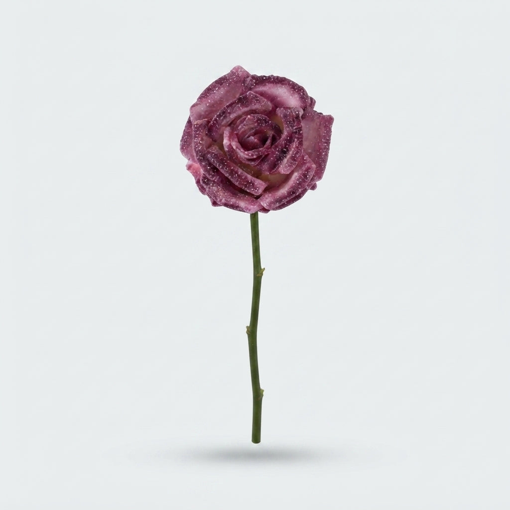 Rose - Rosa - Large Flowered