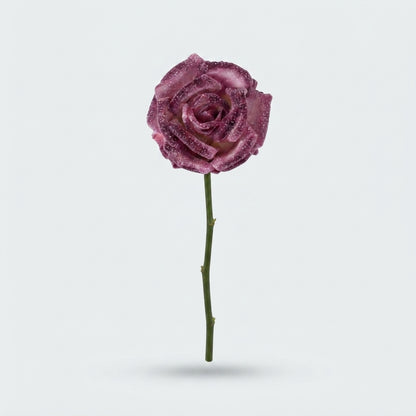 Rose - Rosa - Large Flowered