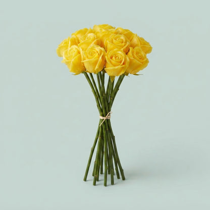 Rose - Rosa - Large Flowered