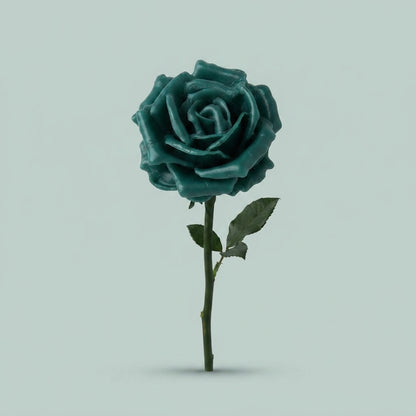 Rosa Large Flowered - Dark Green