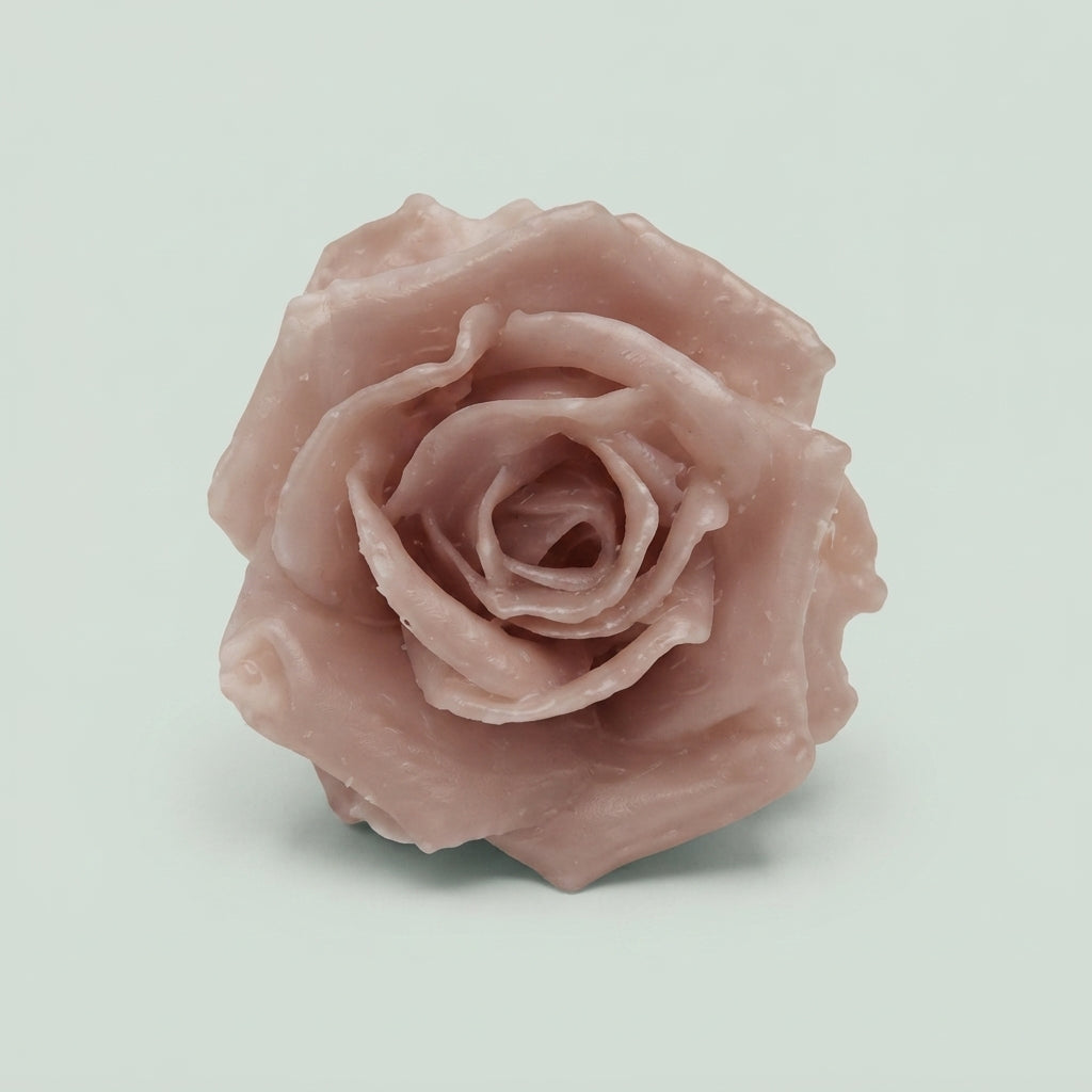 Rose - Rosa - Large Flowered