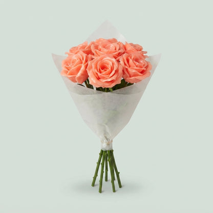 Rose - Rosa - Large Flowered