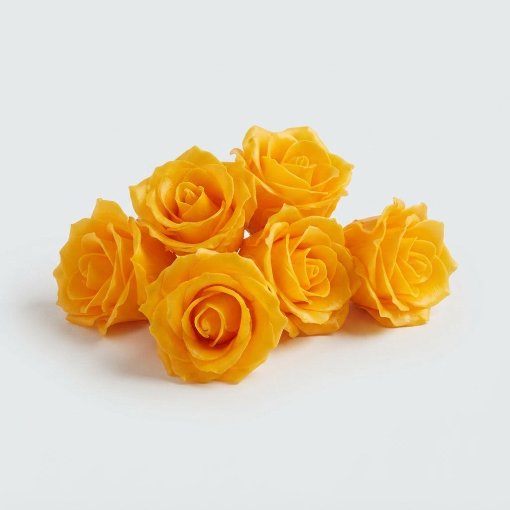 FeedSync:wholesale:a47a0bcc7c56b6273693226e75b269aa8bb8db68