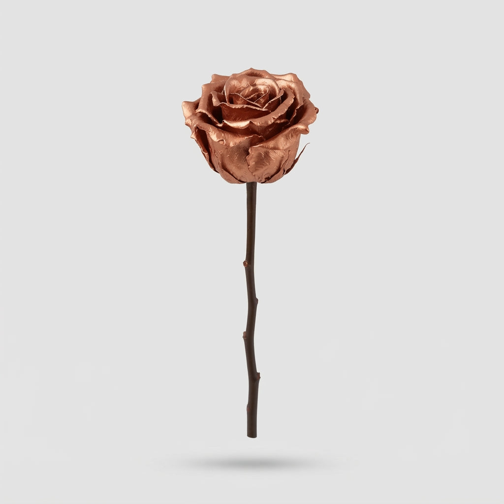 Rose - Rosa - Large Flowered
