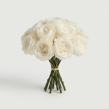 Rose - Rosa - Large Flowered