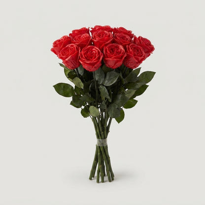 FeedSync:wholesale:3f82acf92cc58d828ab852146613dfe21b4388b4