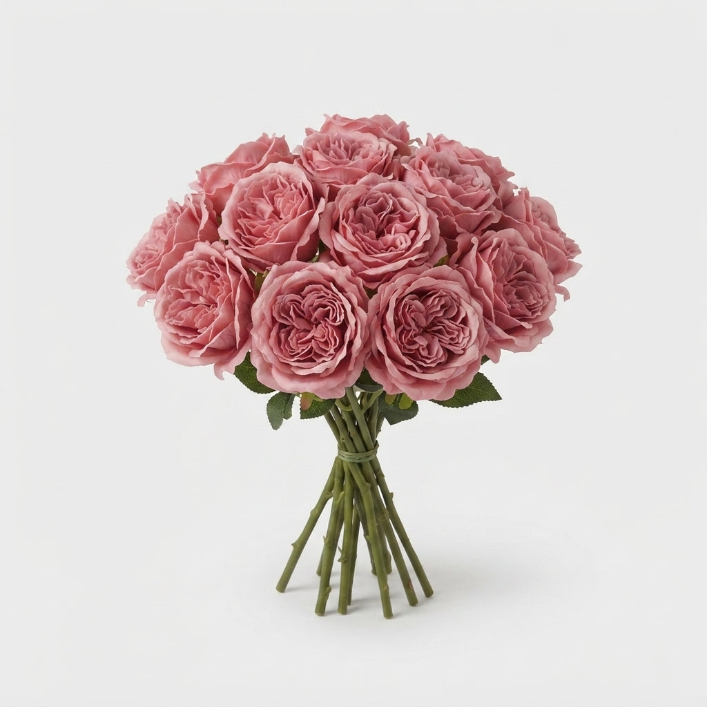 Rose - Rosa - Large Flowered